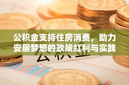 元氏公积金支持住房消费，助力安居梦想的政策红利与实践