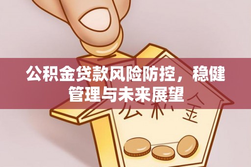 元氏公积金贷款风险防控，稳健管理与未来展望