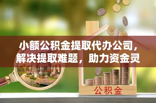 元氏小额公积金提取代办公司，解决提取难题，助力资金灵活使用