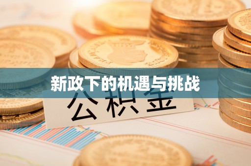 元氏新政下的机遇与挑战