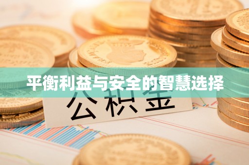 元氏平衡利益与安全的智慧选择