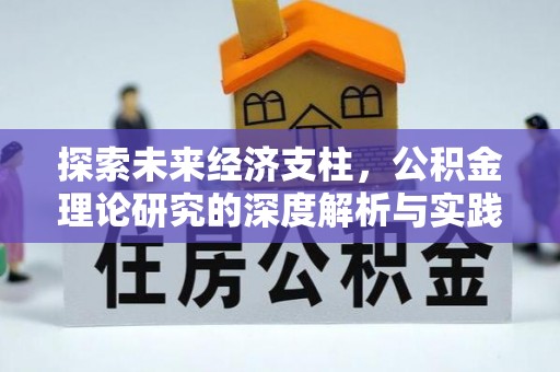 元氏探索未来经济支柱，公积金理论研究的深度解析与实践意义