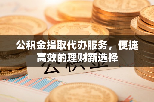 元氏公积金提取代办服务，便捷高效的理财新选择