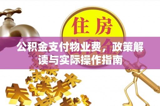 元氏公积金支付物业费，政策解读与实际操作指南