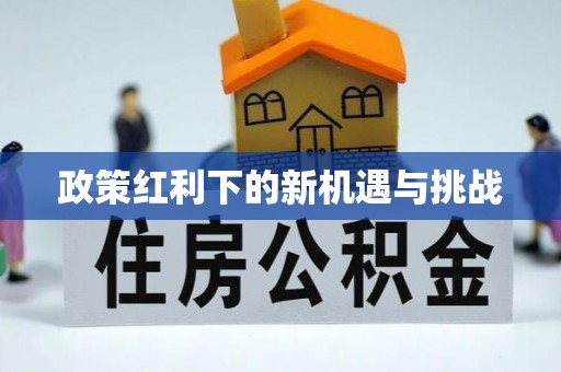 元氏政策红利下的新机遇与挑战