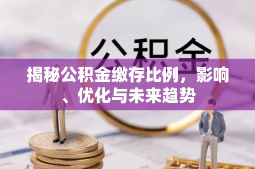 元氏揭秘公积金缴存比例，影响、优化与未来趋势