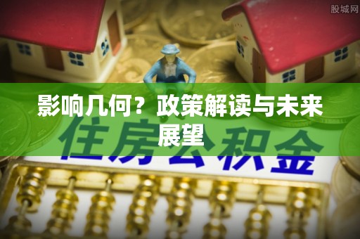 元氏影响几何？政策解读与未来展望
