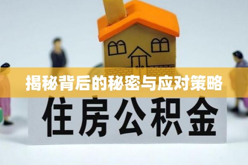 元氏揭秘背后的秘密与应对策略