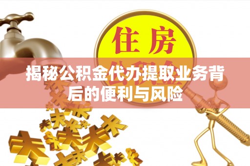 元氏揭秘公积金代办提取业务背后的便利与风险