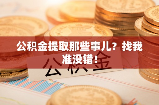 元氏公积金提取那些事儿？找我准没错！