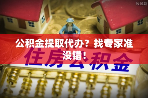 元氏公积金提取代办？找专家准没错！