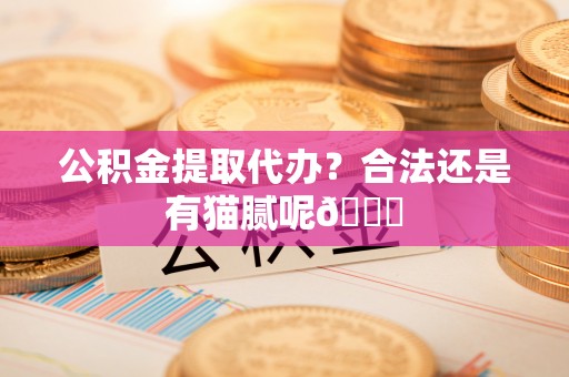 元氏公积金提取代办？合法还是有猫腻呢😏