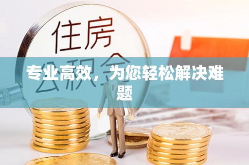 元氏专业高效，为您轻松解决难题
