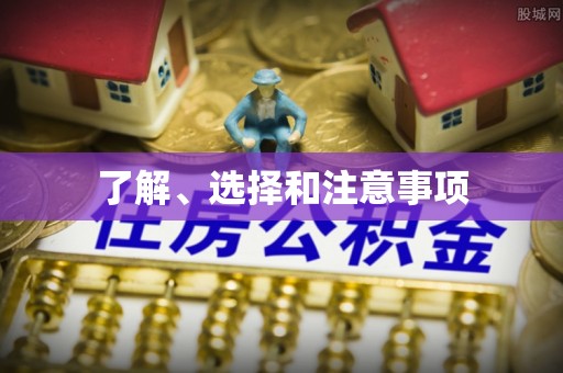 元氏了解、选择和注意事项