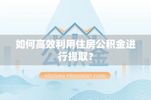 元氏如何高效利用住房公积金进行提取？