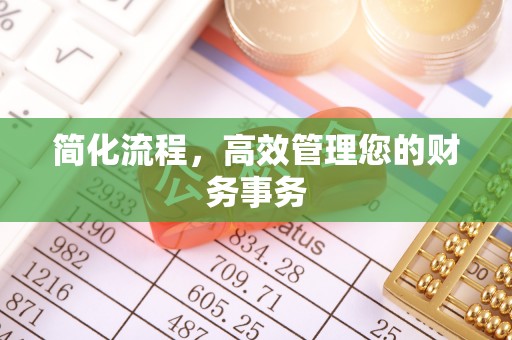 元氏简化流程，高效管理您的财务事务