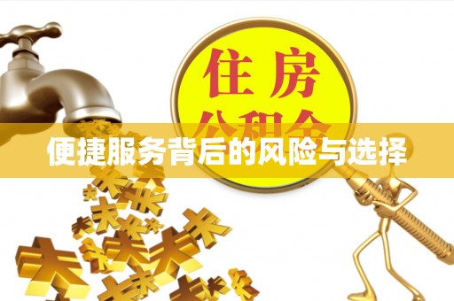 元氏便捷服务背后的风险与选择