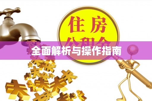 元氏全面解析与操作指南