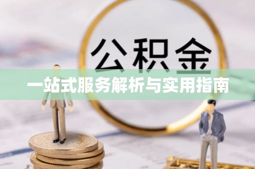 元氏一站式服务解析与实用指南