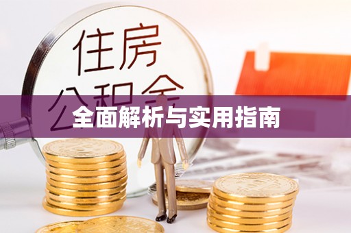 元氏全面解析与实用指南