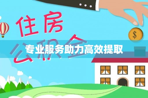 元氏专业服务助力高效提取