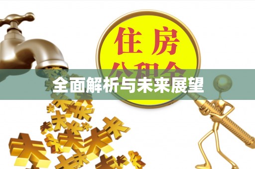 元氏全面解析与未来展望