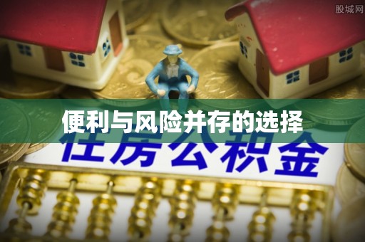 元氏便利与风险并存的选择